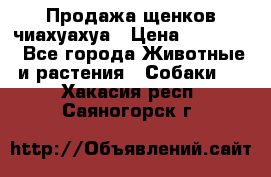 Продажа щенков чиахуахуа › Цена ­ 12 000 - Все города Животные и растения » Собаки   . Хакасия респ.,Саяногорск г.